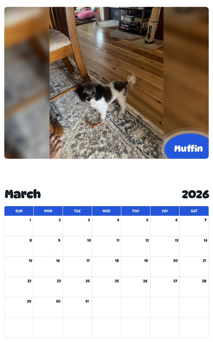 November 2025 - October 2026 Muffin - Pawidols Pet Calendar