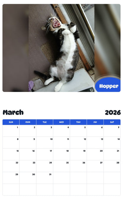 November 2025 - October 2026 Hopper - Pawidols Pet Calendar