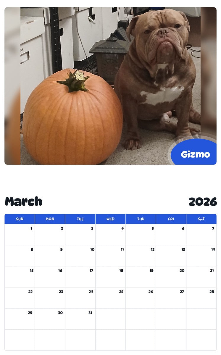 November 2025 - October 2026 Gizmo - Pawidols Pet Calendar