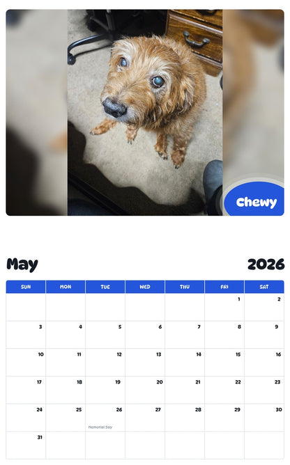 2026 - 2027 Chewy - Pawidols Pet Calendar