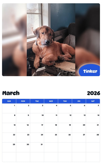 November 2025 - October 2026 Tinker - Pawidols Pet Calendar