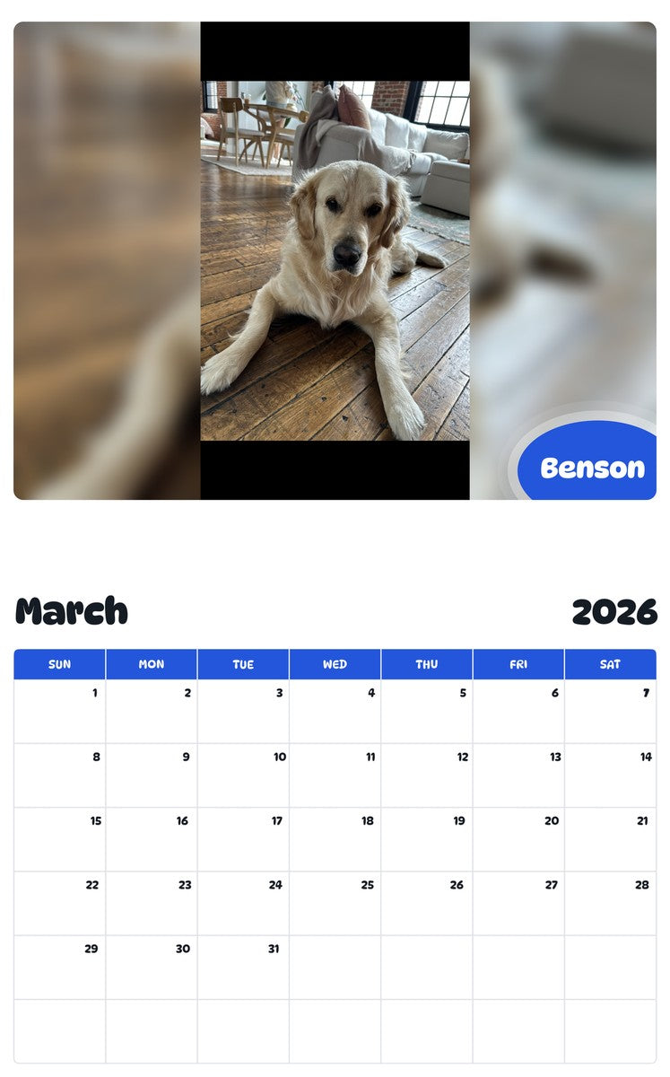 November 2025 - October 2026 Benson - Pawidols Pet Calendar