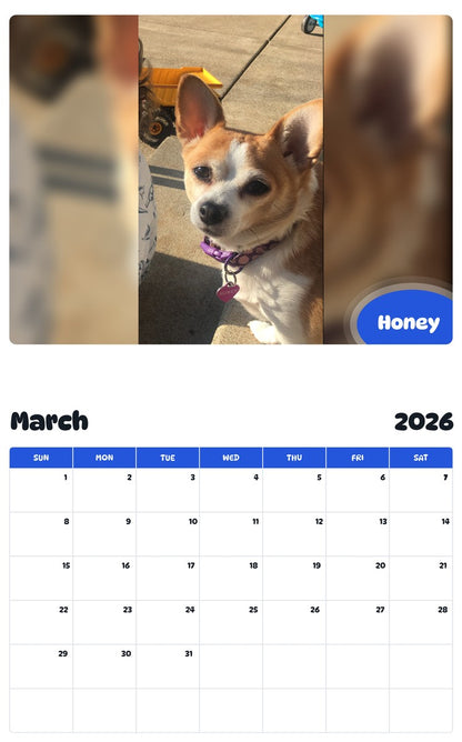 November 2025 - October 2026 Honey - Pawidols Pet Calendar