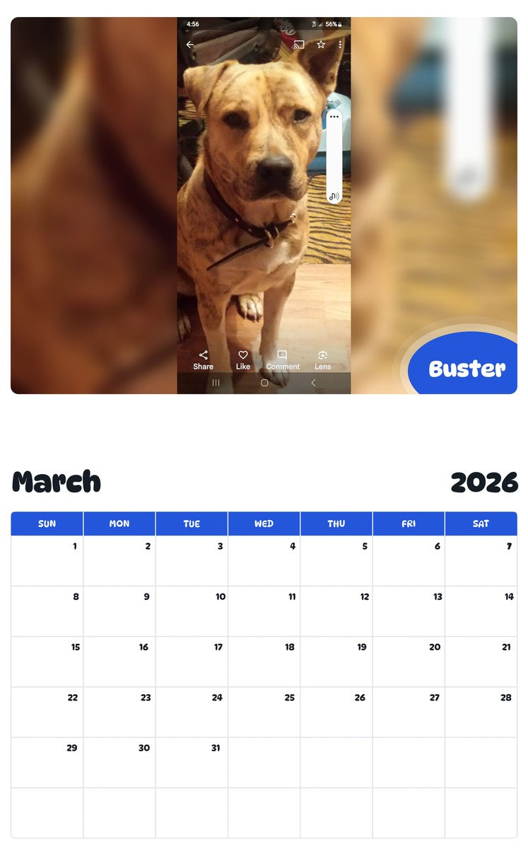 November 2025 - October 2026 Buster - Pawidols Pet Calendar