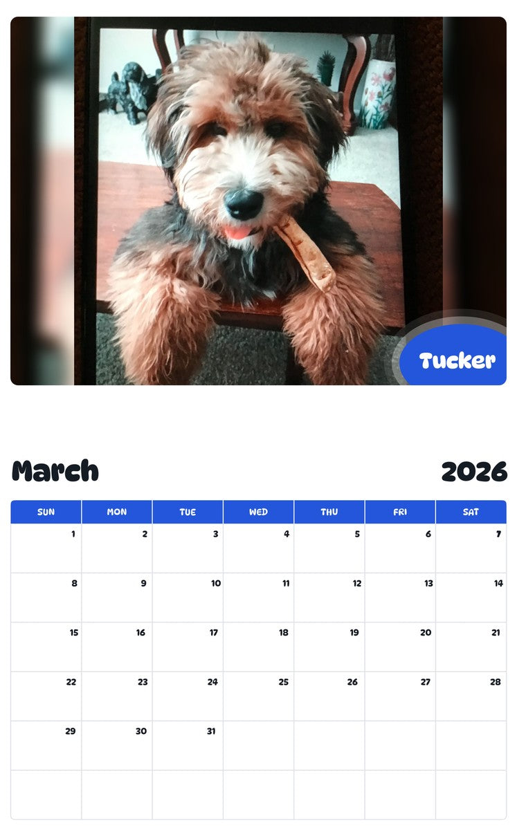 November 2025 - October 2026 Tucker - Pawidols Pet Calendar