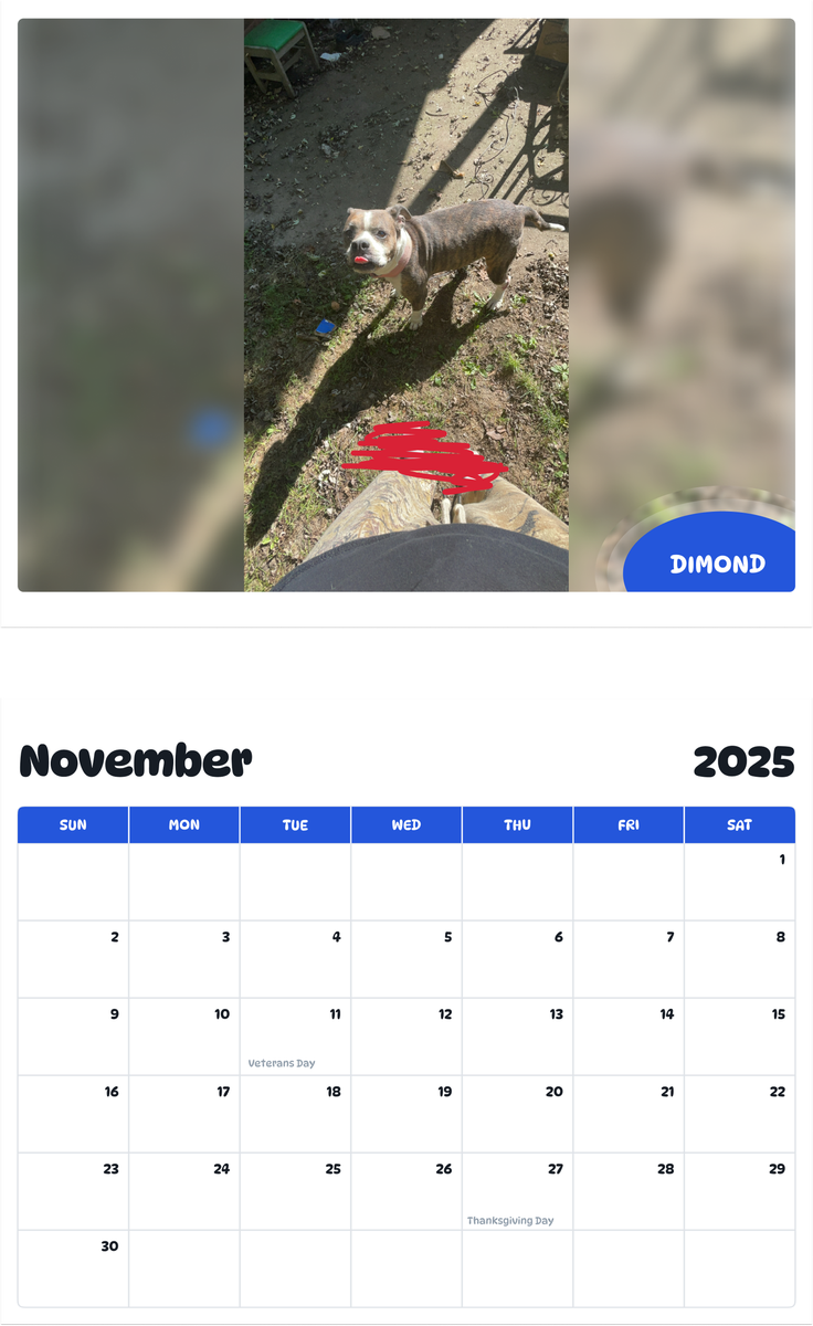 July 2025 - June 2026 Dimond - Pawidols Pet Calendar