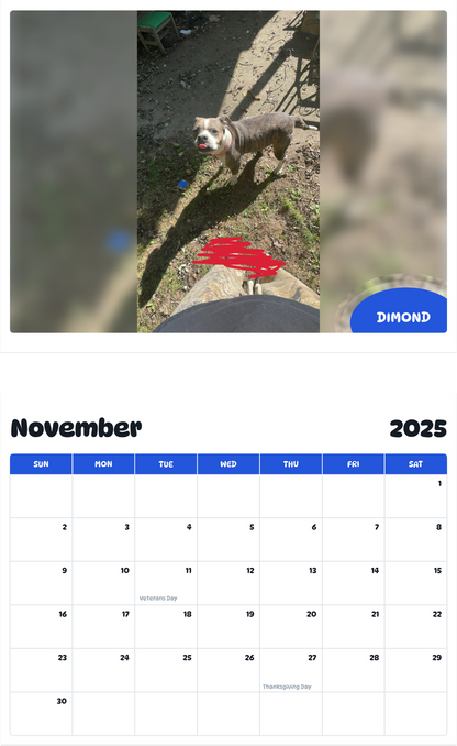 July 2025 - June 2026 Dimond - Pawidols Pet Calendar