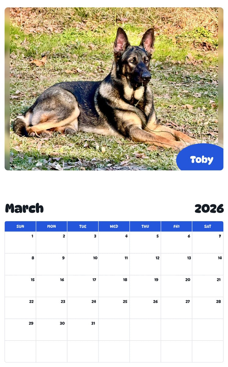 November 2025 - October 2026 Toby - Pawidols Pet Calendar