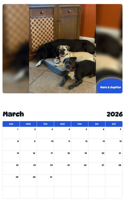 November 2025 - October 2026 Mars & Jupiter - Pawidols Pet Calendar