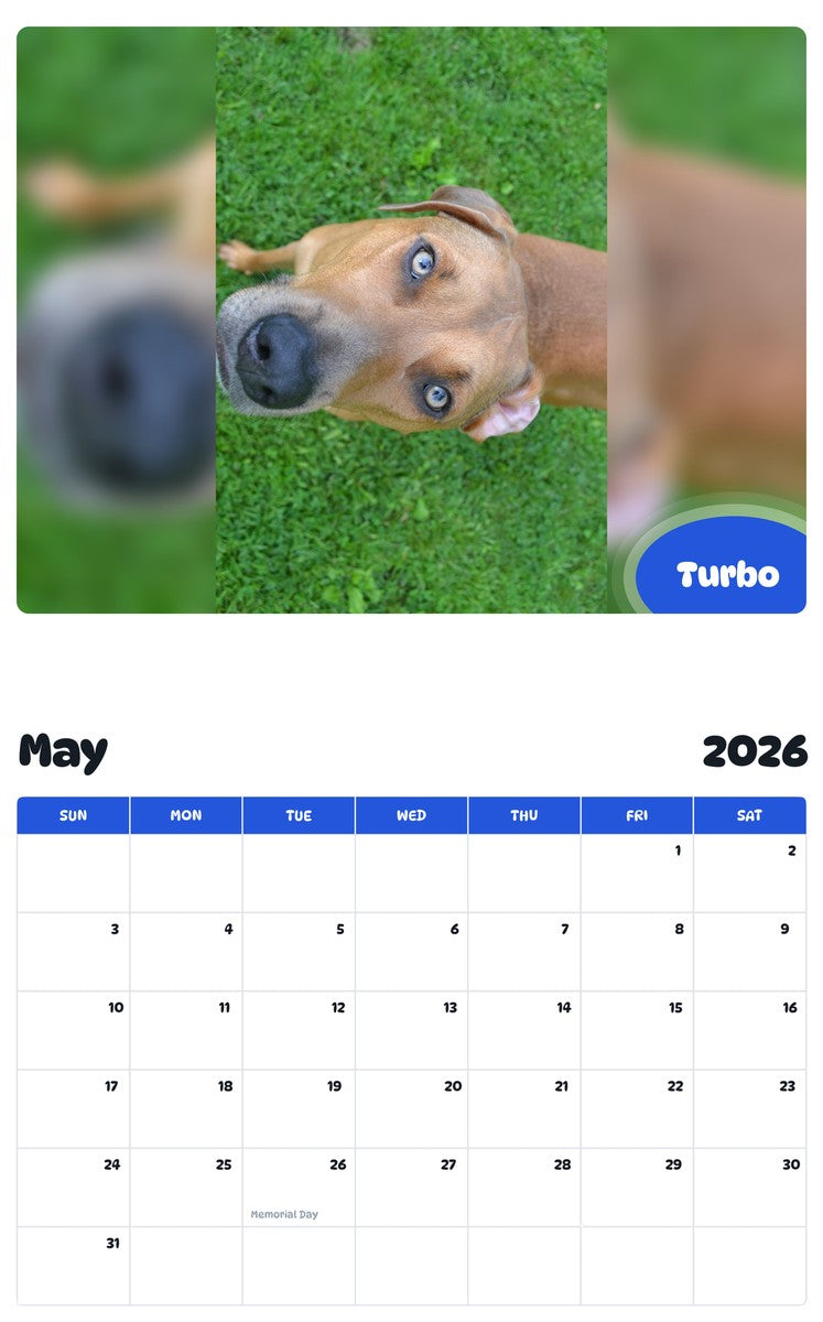 2026 - 2027 Turbo - Pawidols Pet Calendar