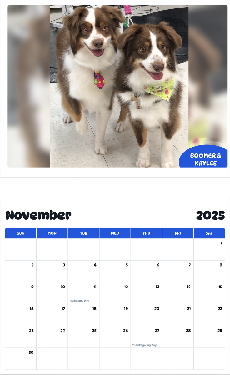 July 2025 - June 2026 Boomer & Kaylee - Pawidols Pet Calendar