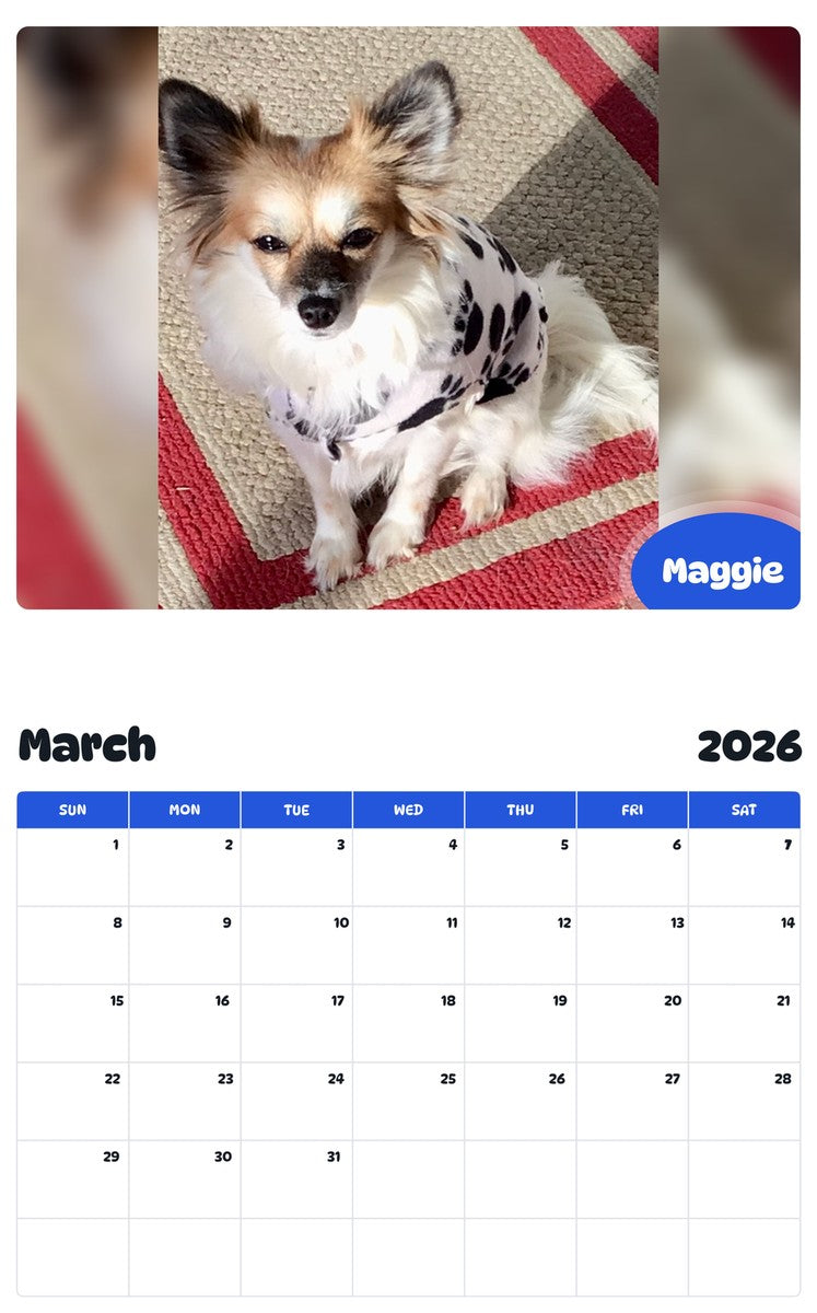 November 2025 - October 2026 Maggie - Pawidols Pet Calendar