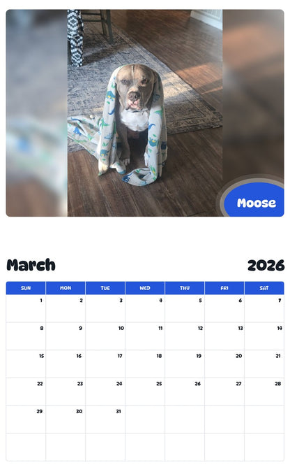 November 2025 - October 2026 Moose - Pawidols Pet Calendar