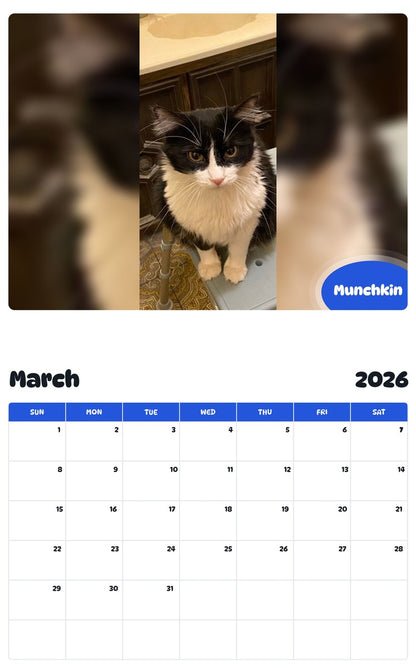 November 2025 - October 2026 Munchkin - Pawidols Pet Calendar