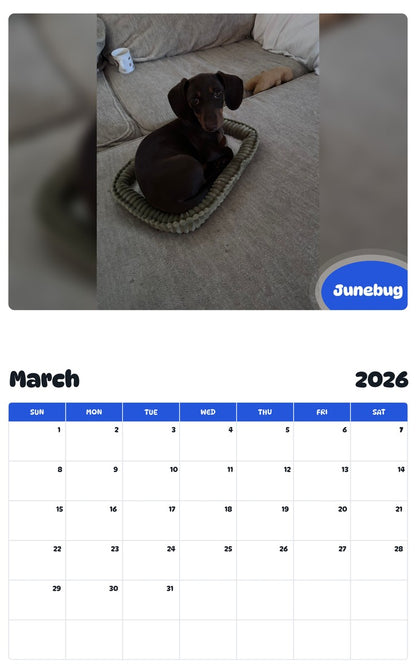 November 2025 - October 2026 Junebug - Pawidols Pet Calendar
