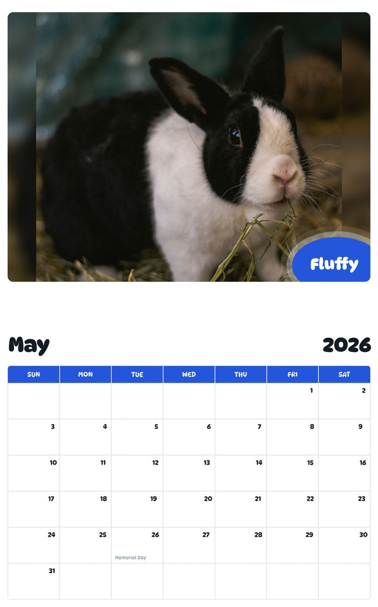 2026 - 2027 Fluffy - Pawidols Pet Calendar