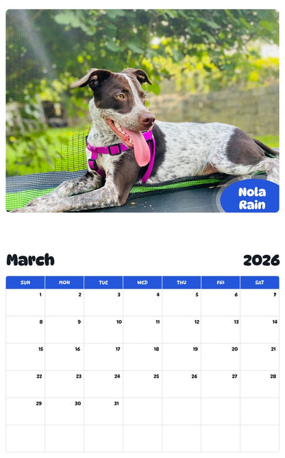 November 2025 - October 2026 Nola Rain - Pawidols Pet Calendar