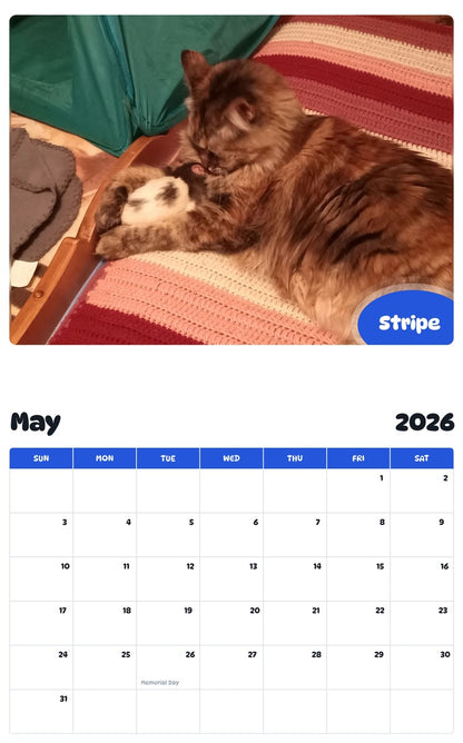 2026 - 2027 Stripe - Pawidols Pet Calendar