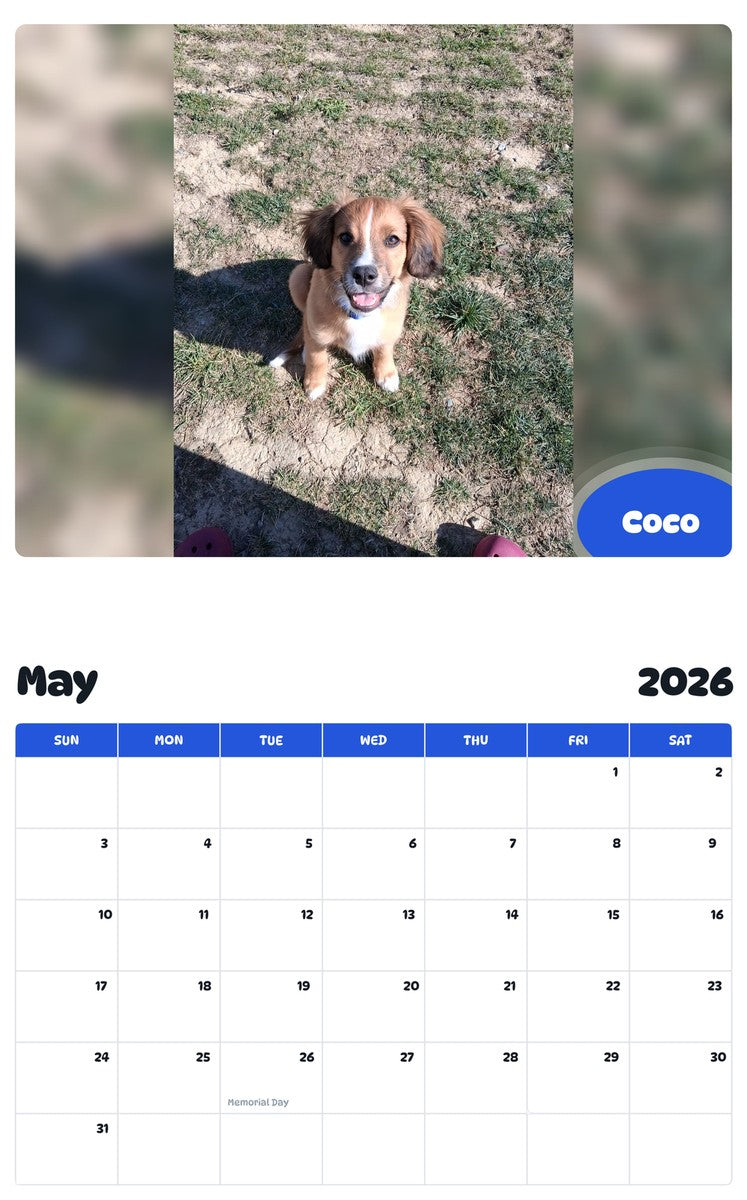 2026 - 2027 Coco - Pawidols Pet Calendar