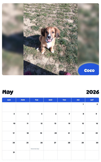 2026 - 2027 Coco - Pawidols Pet Calendar