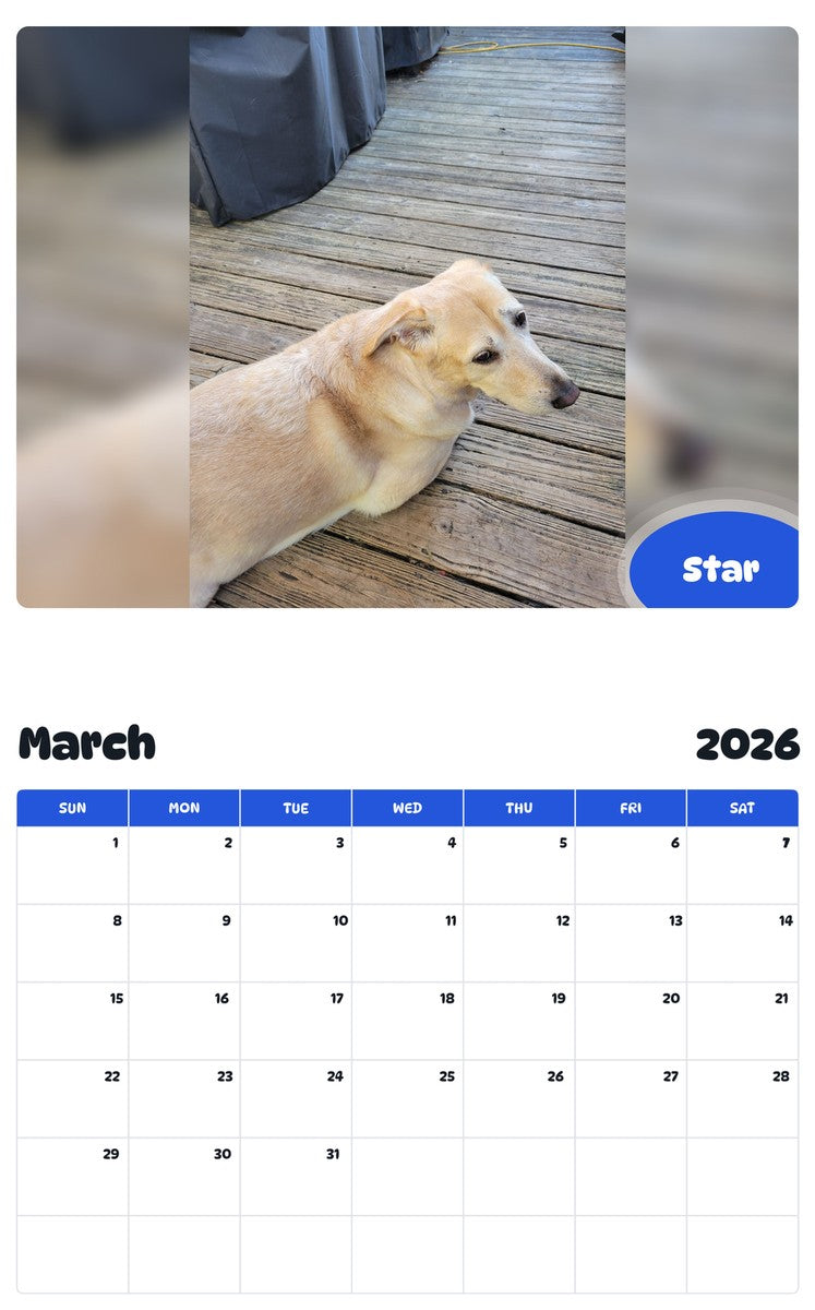 November 2025 - October 2026 Star - Pawidols Pet Calendar