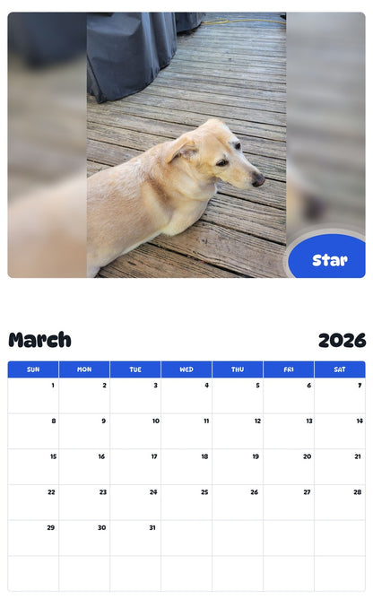 November 2025 - October 2026 Star - Pawidols Pet Calendar
