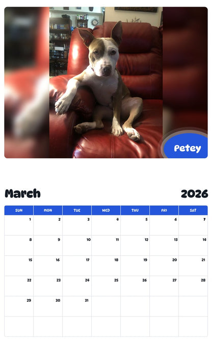 November 2025 - October 2026 Petey - Pawidols Pet Calendar