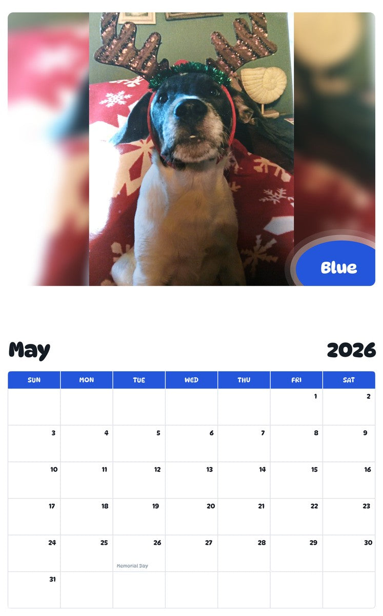 2026 - 2027 Blue - Pawidols Pet Calendar