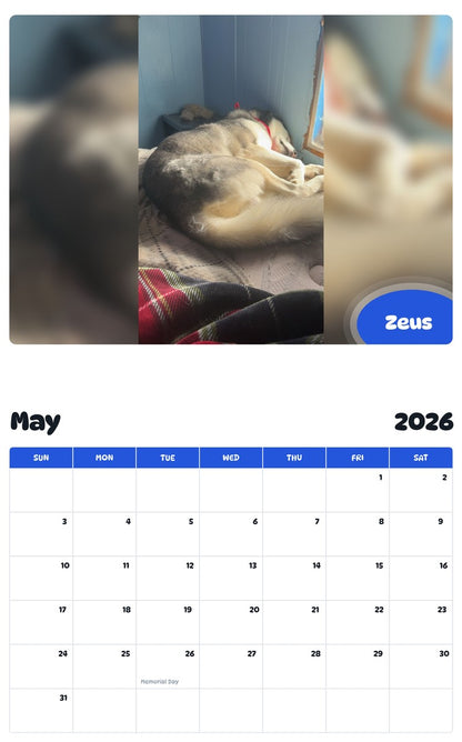 2026 - 2027 Zeus - Pawidols Pet Calendar