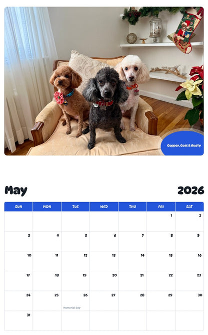 2026 - 2027 Copper, Coal & Rusty - Pawidols Pet Calendar