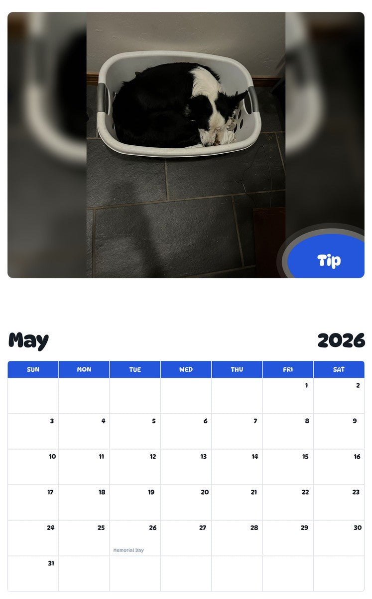 2026 - 2027 Tip - Pawidols Pet Calendar
