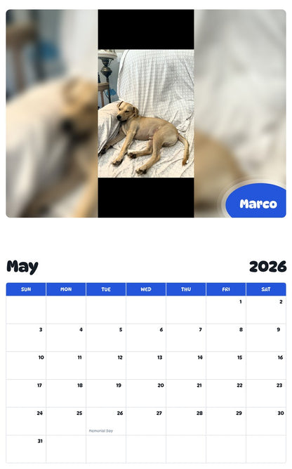 2026 - 2027 Marco - Pawidols Pet Calendar