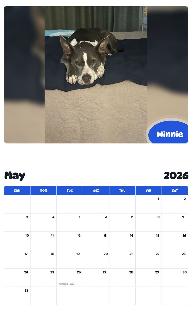 2026 - 2027 Winnie - Pawidols Pet Calendar