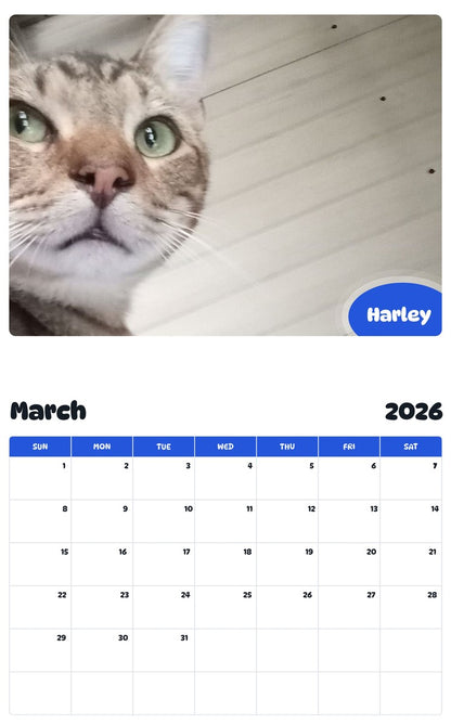 November 2025 - October 2026 Harley - Pawidols Pet Calendar