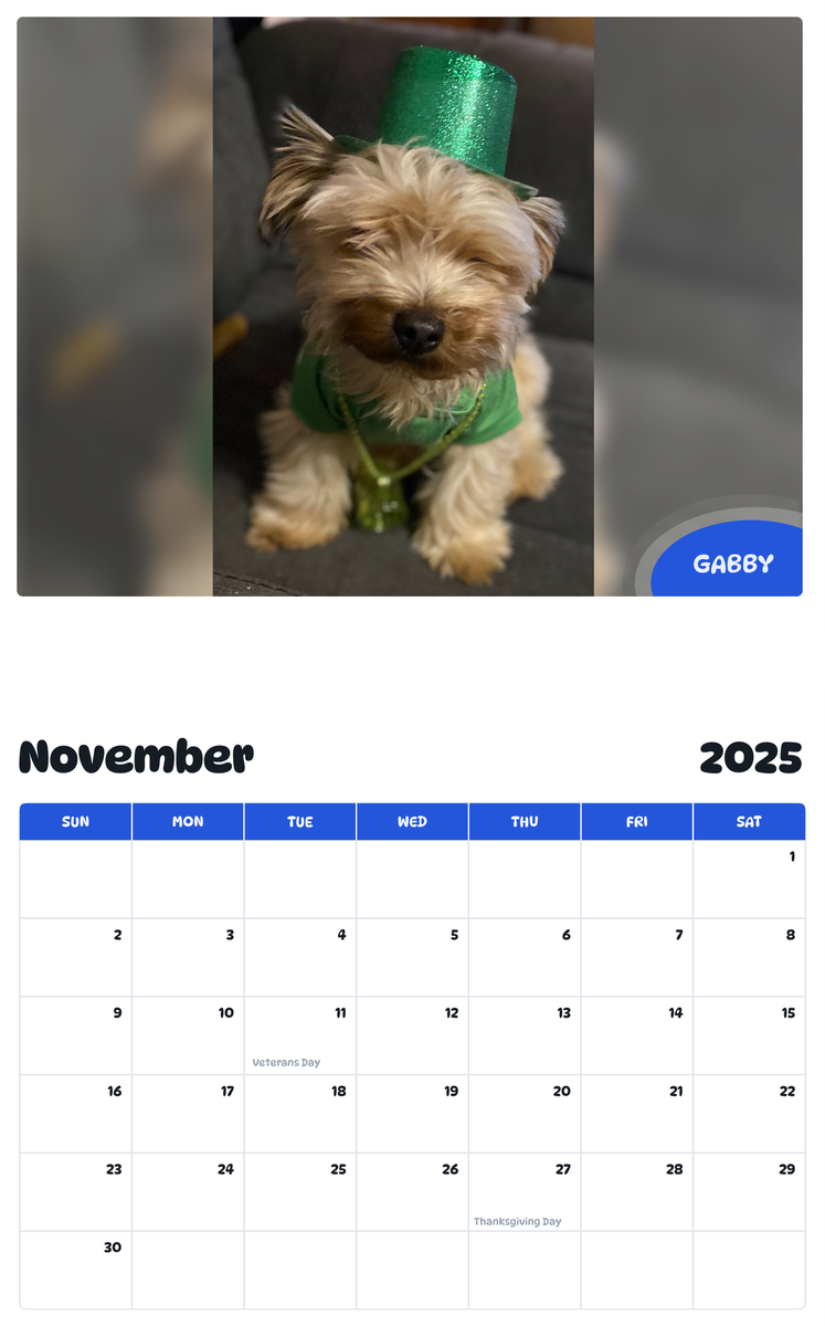 July 2025 - June 2026 Gabby - Pawidols Pet Calendar