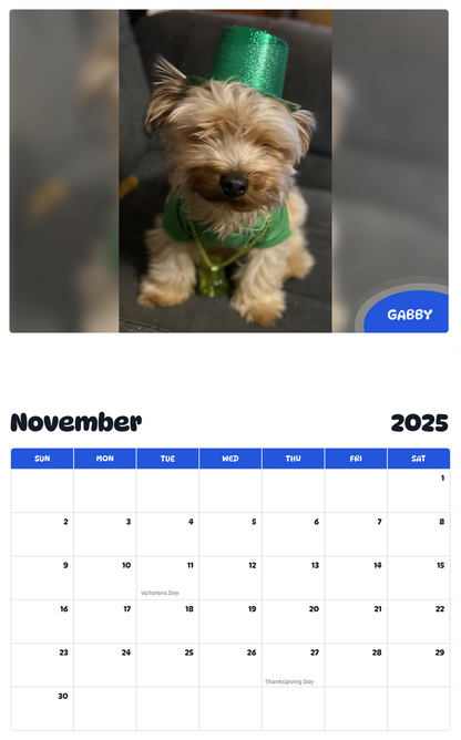 July 2025 - June 2026 Gabby - Pawidols Pet Calendar