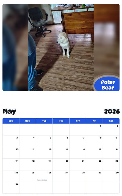 2026 - 2027 Polar Bear - Pawidols Pet Calendar