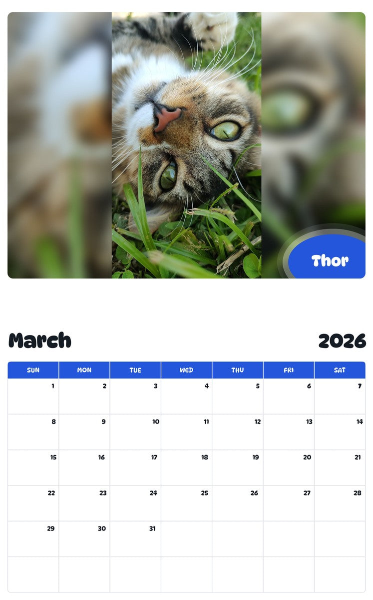November 2025 - October 2026 Thor - Pawidols Pet Calendar