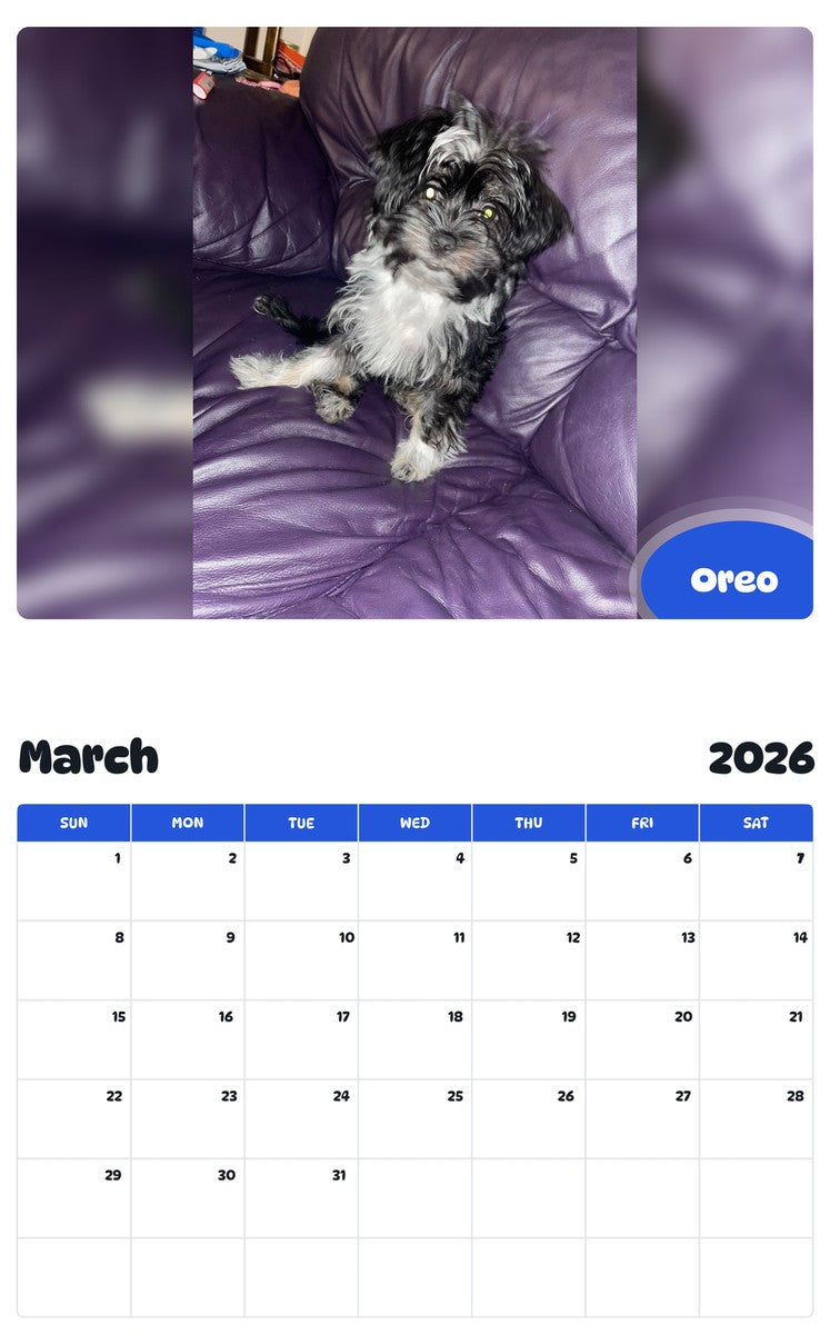 November 2025 - October 2026 Oreo - Pawidols Pet Calendar