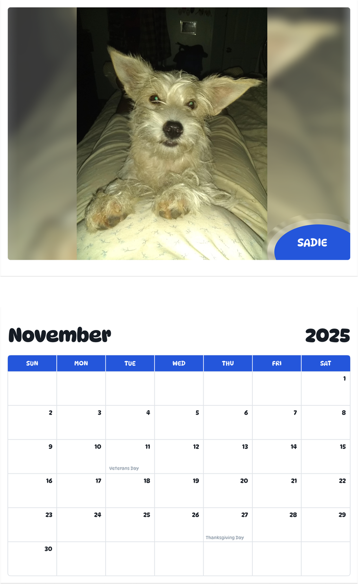 July 2025 - June 2026 Sadie - Pawidols Pet Calendar