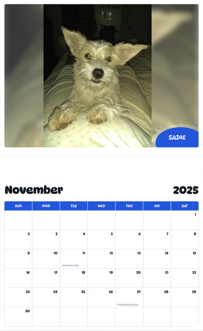 July 2025 - June 2026 Sadie - Pawidols Pet Calendar