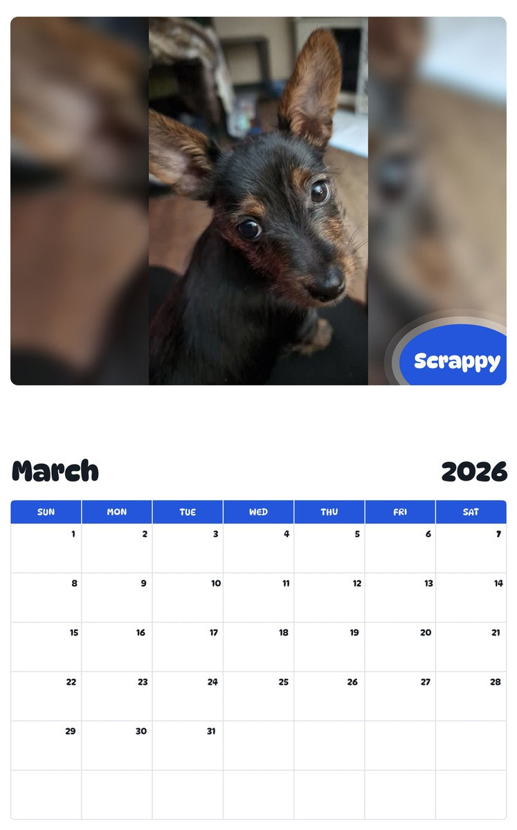 November 2025 - October 2026 Scrappy - Pawidols Pet Calendar