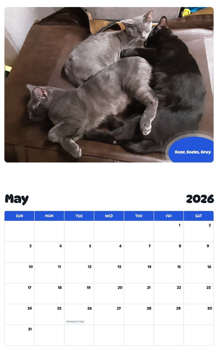 2026 - 2027 Bear, Socks, Grey - Pawidols Pet Calendar