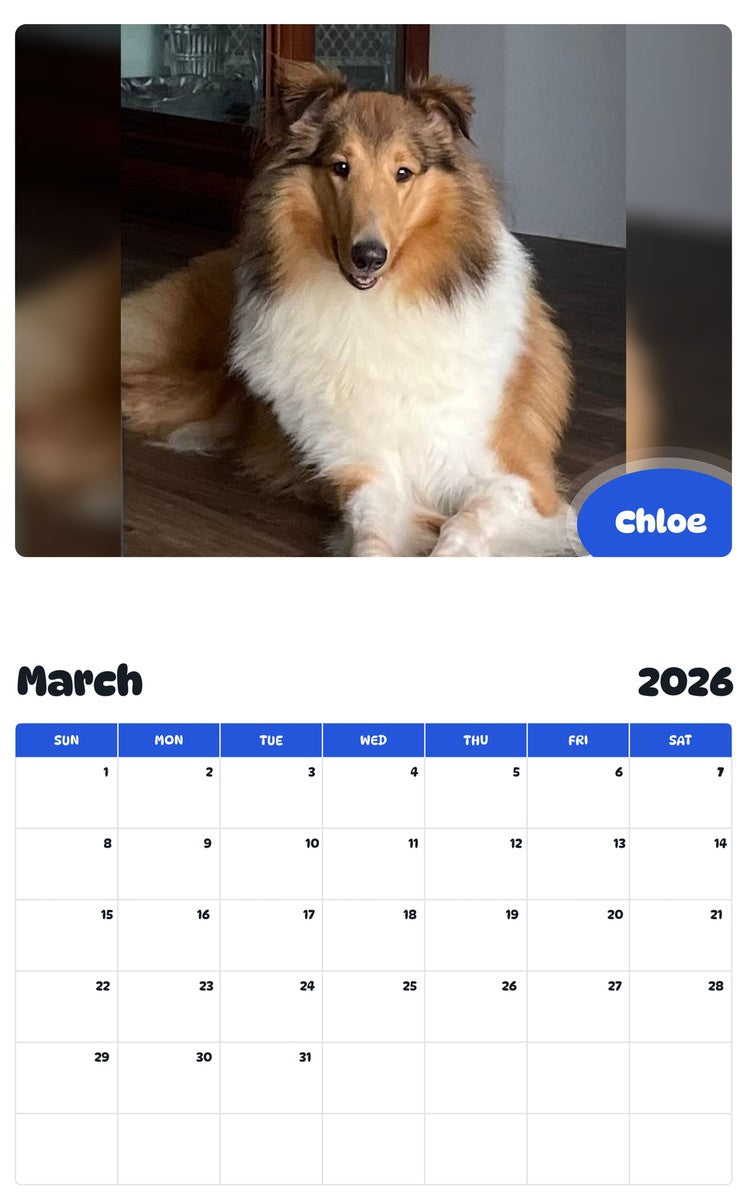 November 2025 - October 2026 Chloe - Pawidols Pet Calendar