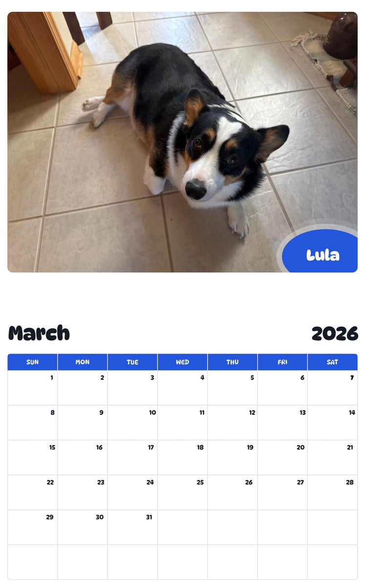 November 2025 - October 2026 Lula - Pawidols Pet Calendar