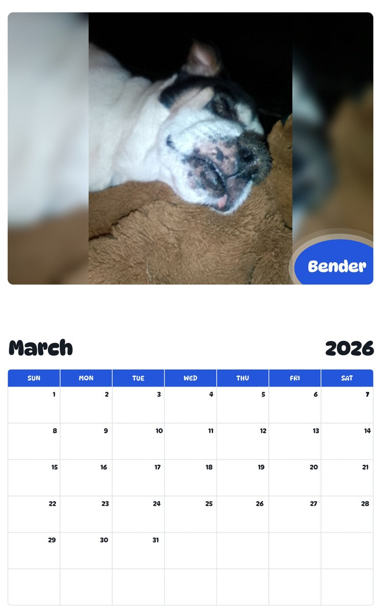 November 2025 - October 2026 Bender - Pawidols Pet Calendar