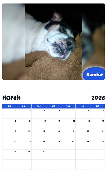 November 2025 - October 2026 Bender - Pawidols Pet Calendar