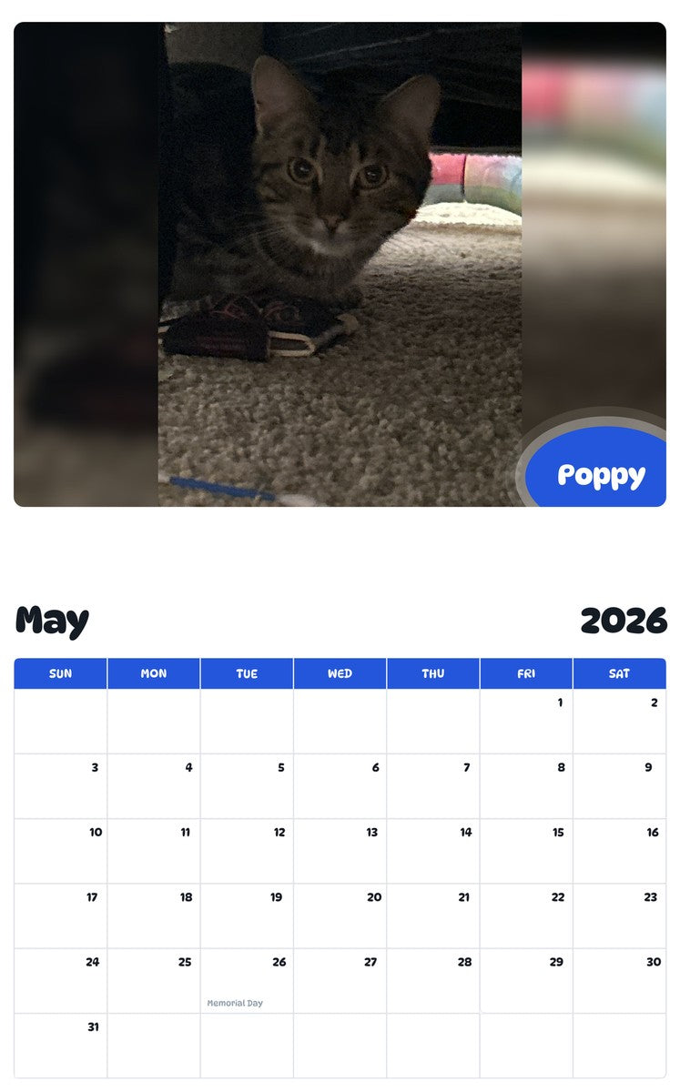 2026 - 2027 Poppy - Pawidols Pet Calendar