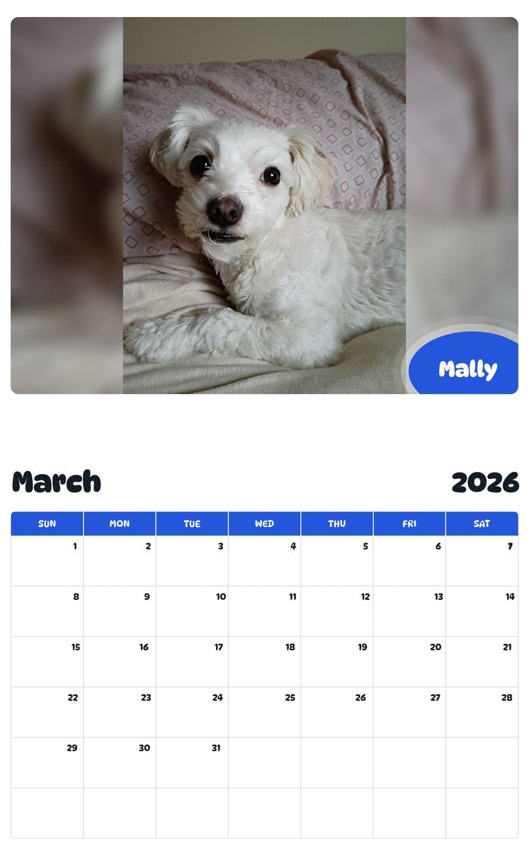 November 2025 - October 2026 Mally - Pawidols Pet Calendar