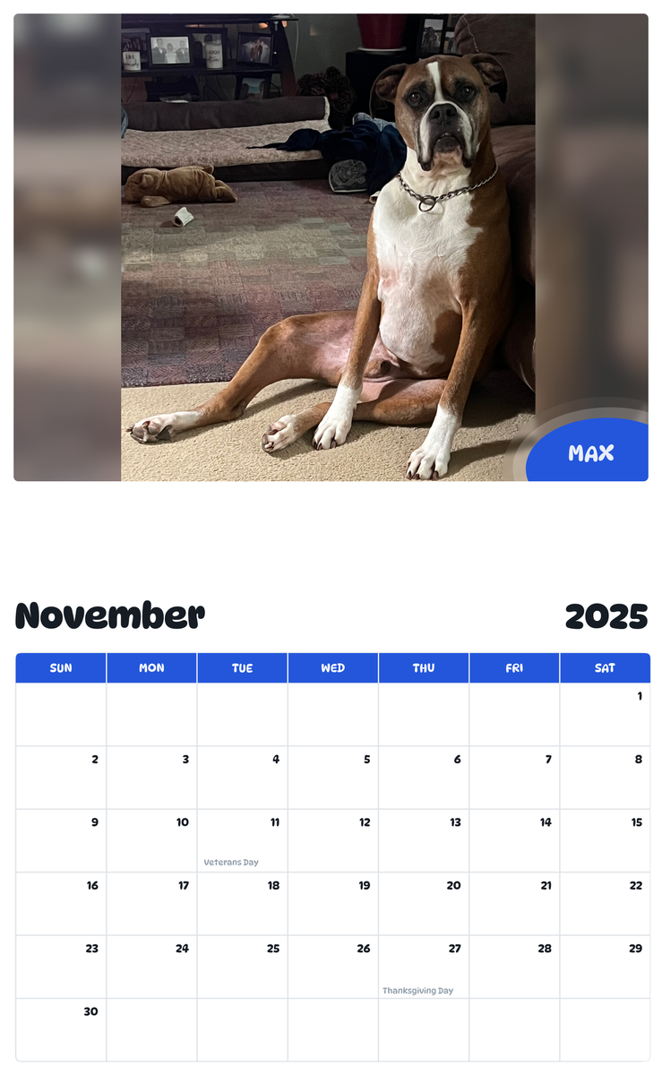 July 2025 - June 2026 Max - Pawidols Pet Calendar